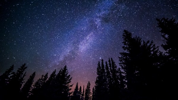 View of the milky way at night